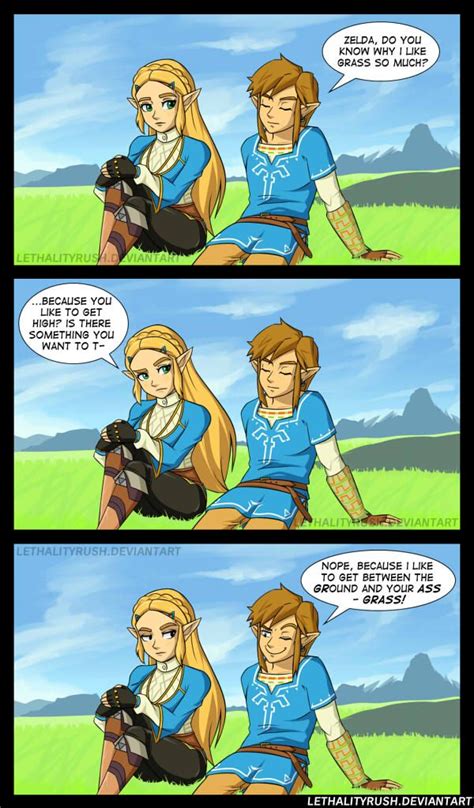 zelda breath of the wild porn